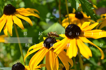 借錢起訴對(duì)方是否需提前告知法院？如何處理、是否會(huì)受理？